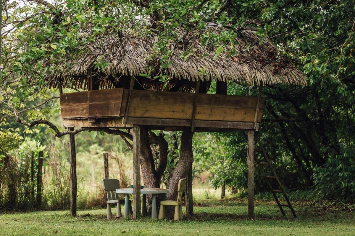 Palma Lodges