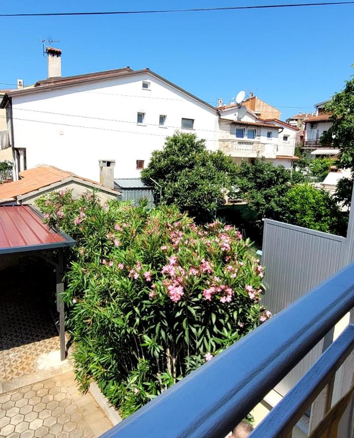 Apartmani Sojka