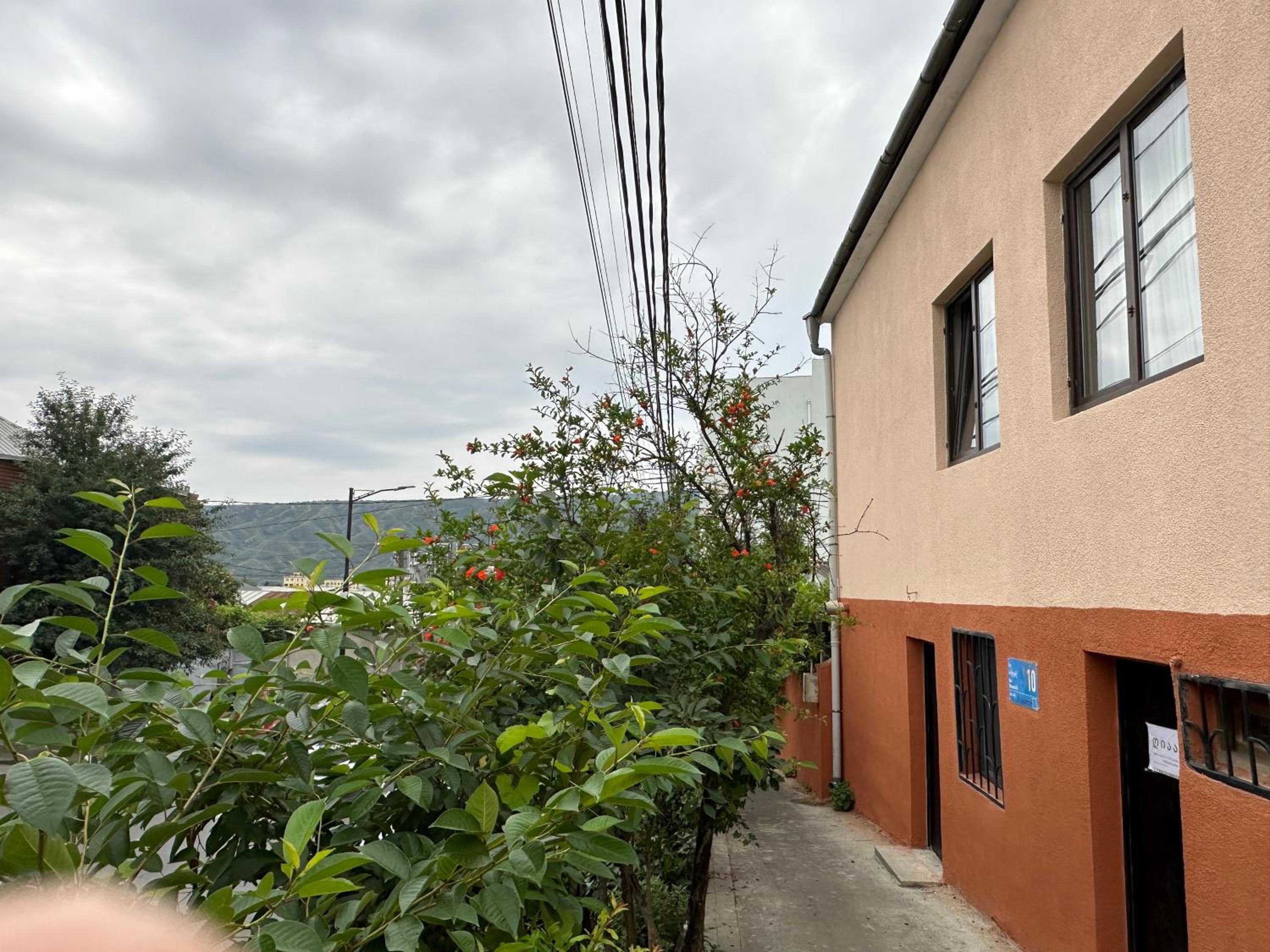 Family Guesthouse - MACHARASHVILI view 5