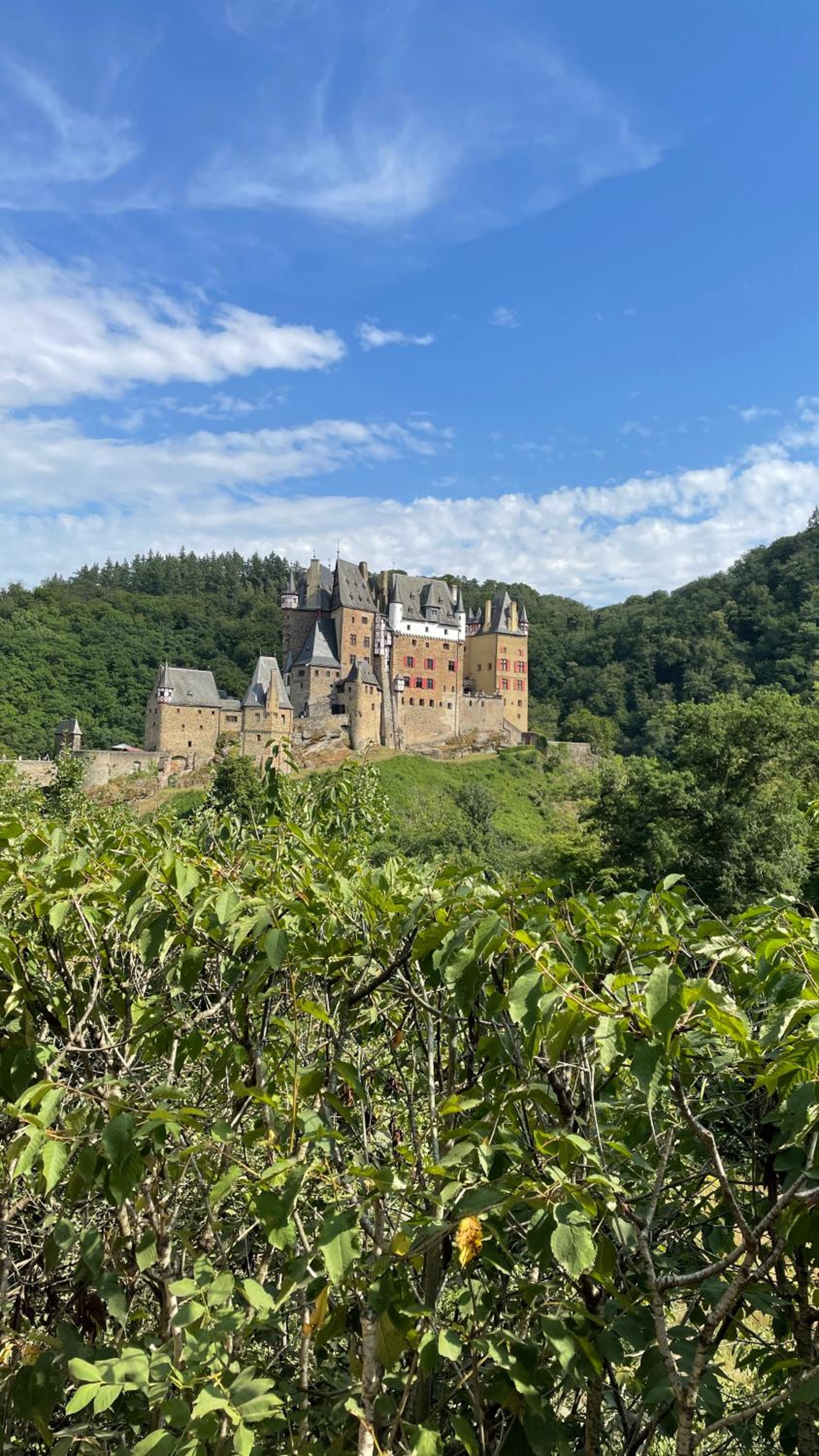 Besondere Ferienwohnung Spirit auf idyllischem Reiterhof nahe Burg Eltz