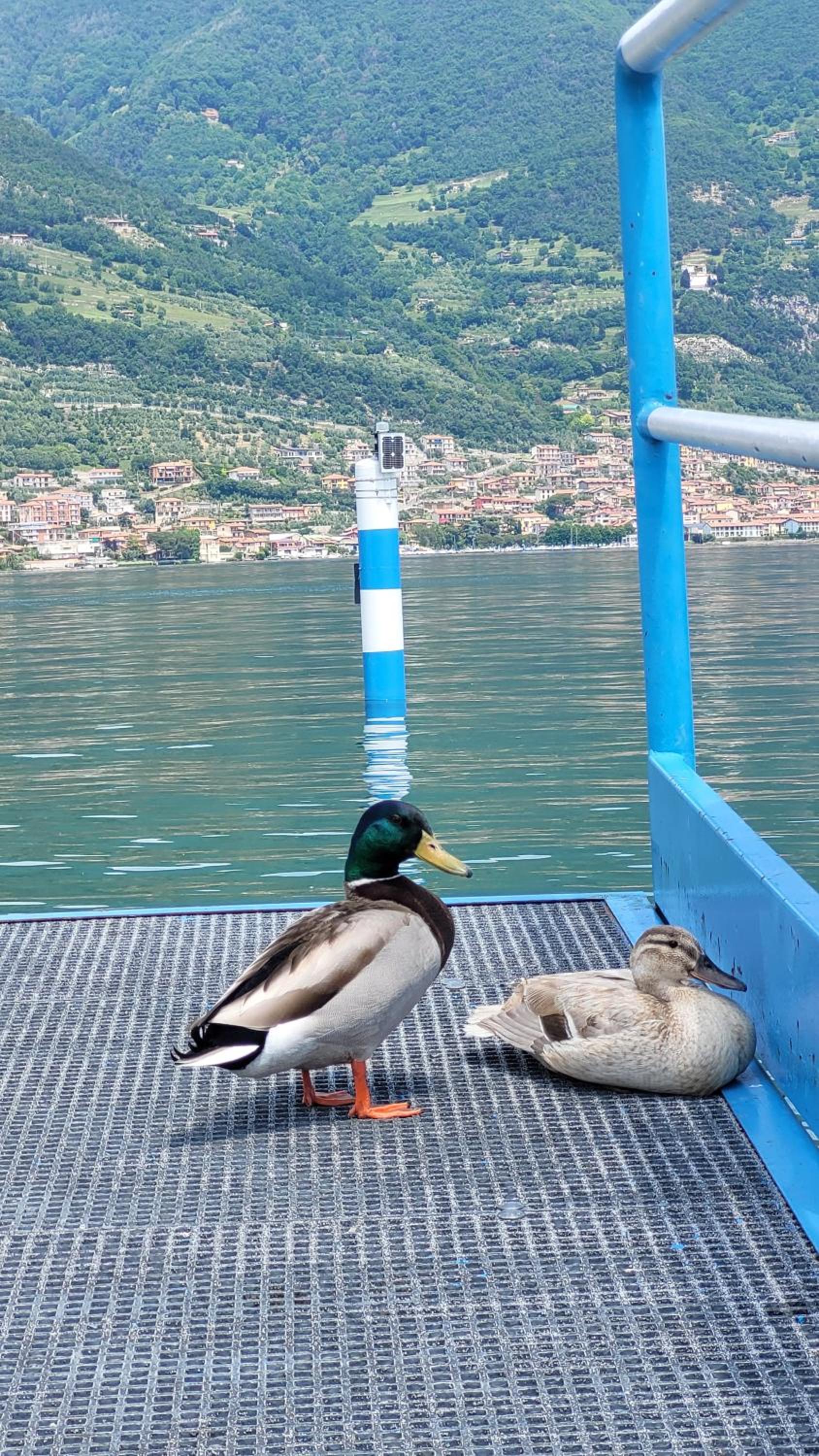 Light on Lake Iseo view 4