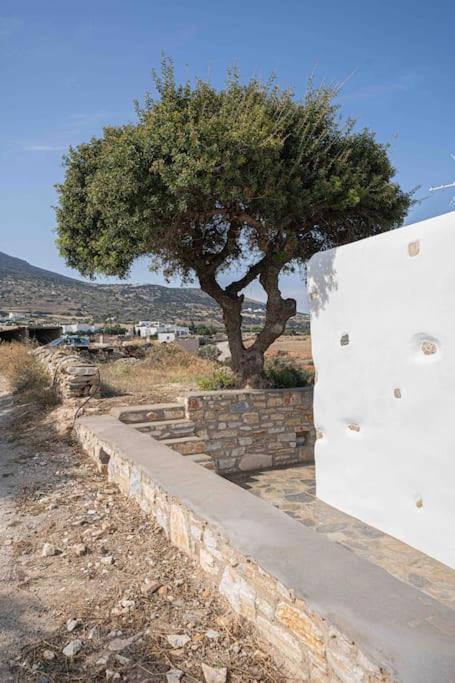 Traditional home in Paros. photo 4