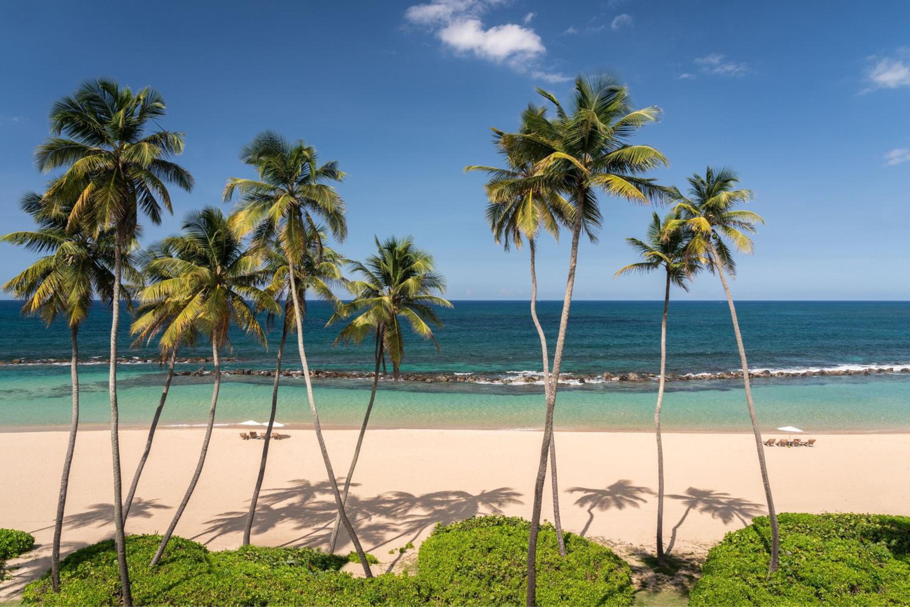 Dorado Beach, a Ritz-Carlton Reserve - Property Image 40