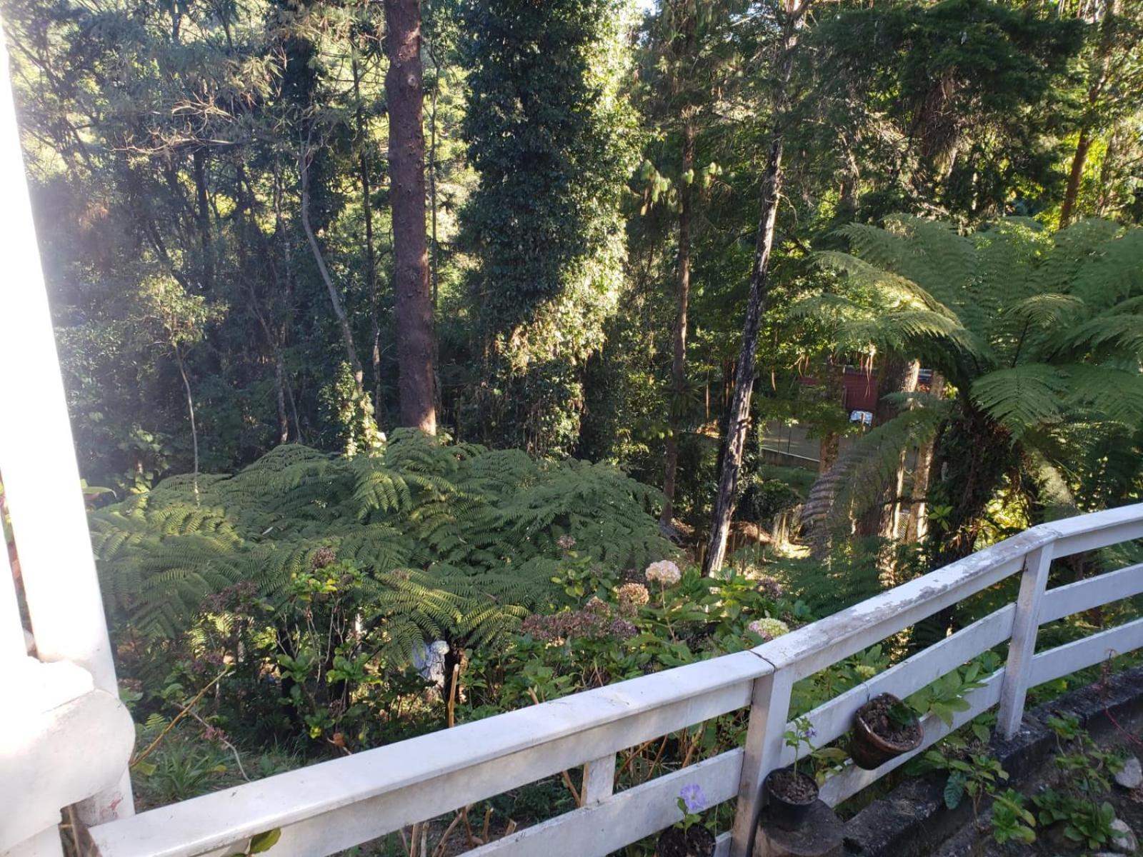 Perto de Capivari e na natureza