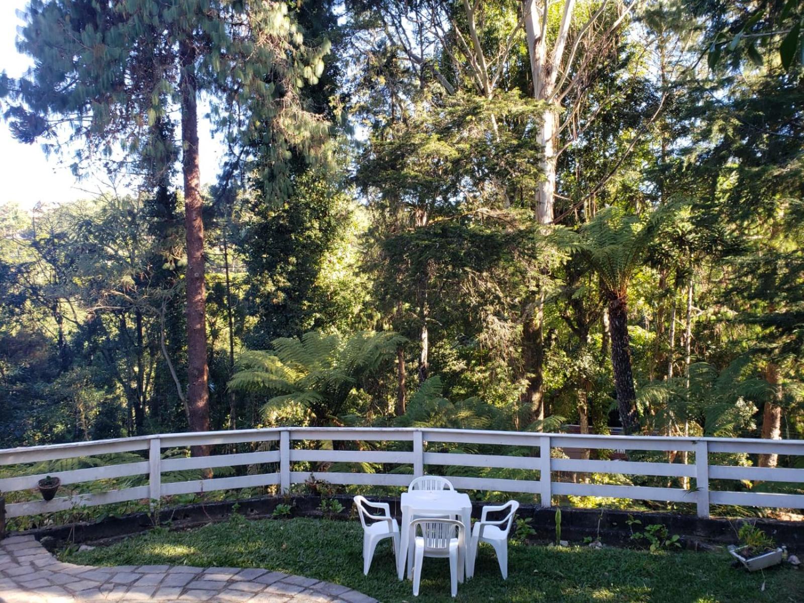 Perto de Capivari e na natureza
