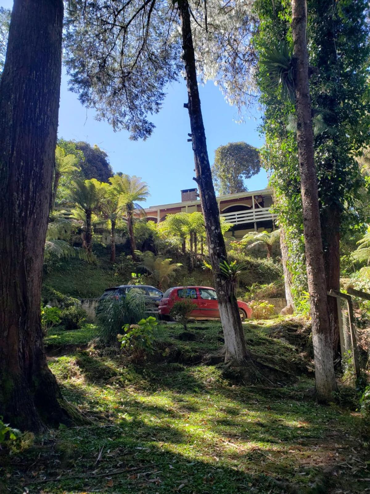 Perto de Capivari e na natureza