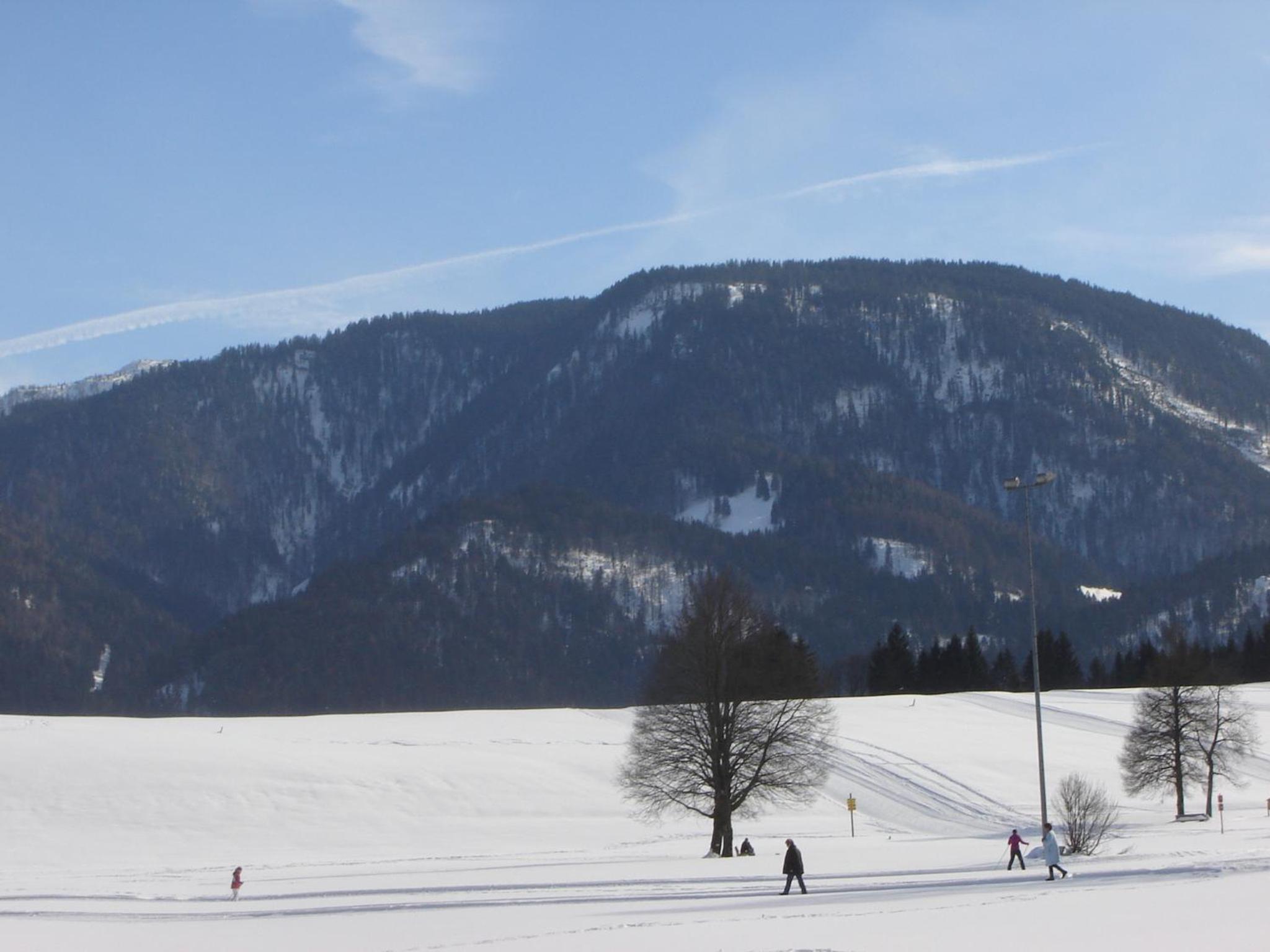 Photo 44