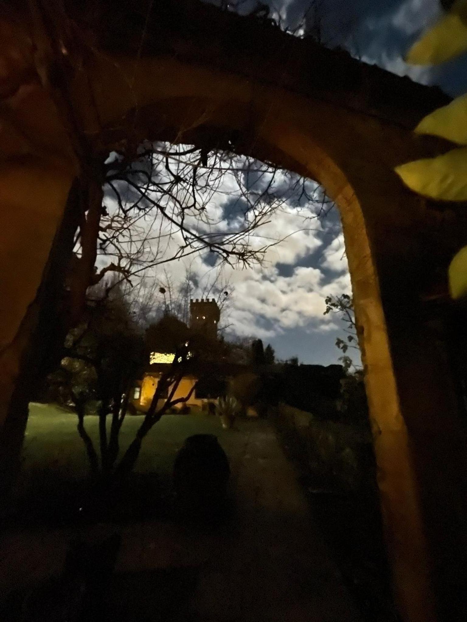 Charming cottage only for you, a hidden gem 10mn walk to historic center, stunning view
