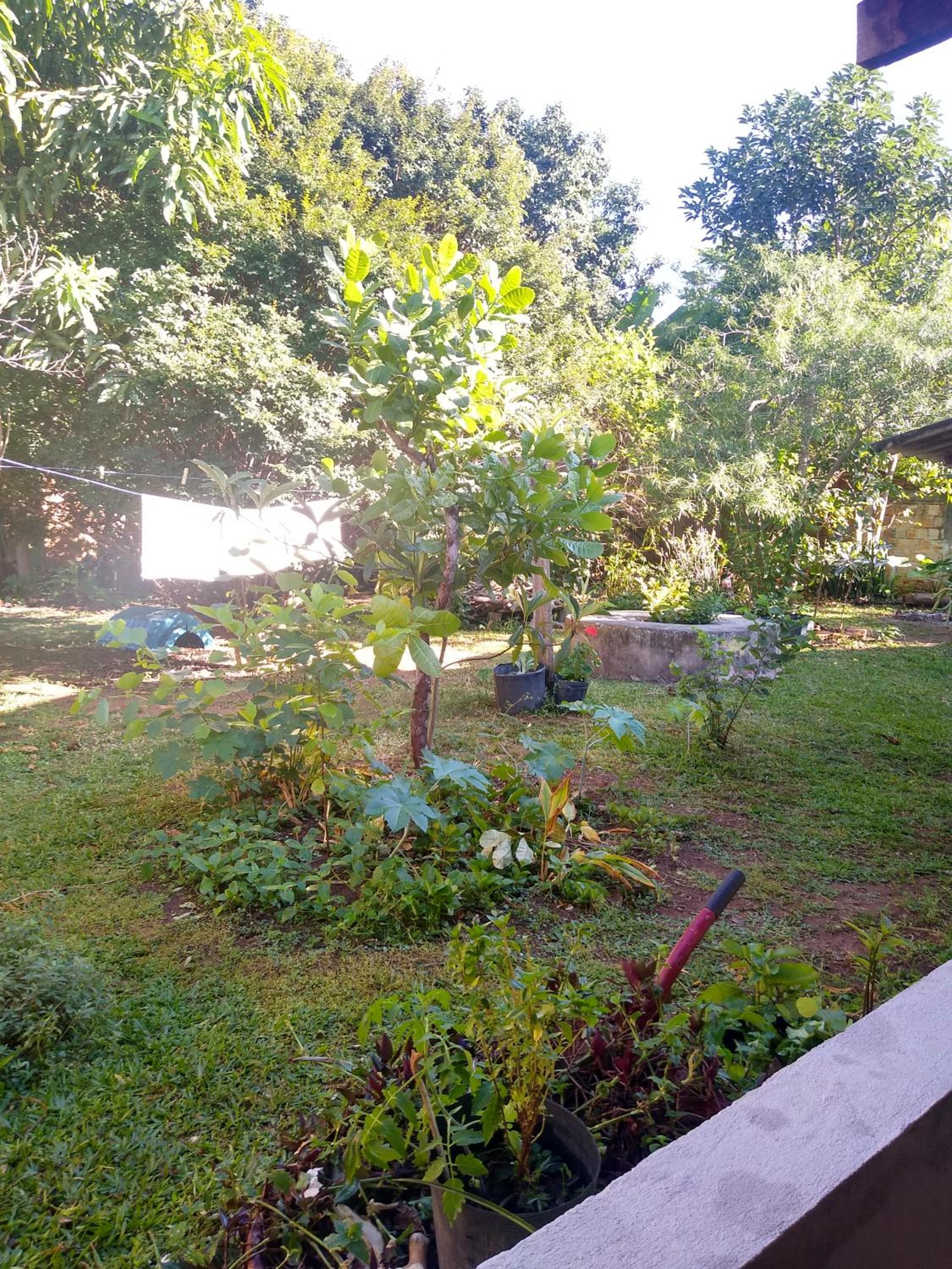 Casa dos Buritis-no centro turístico