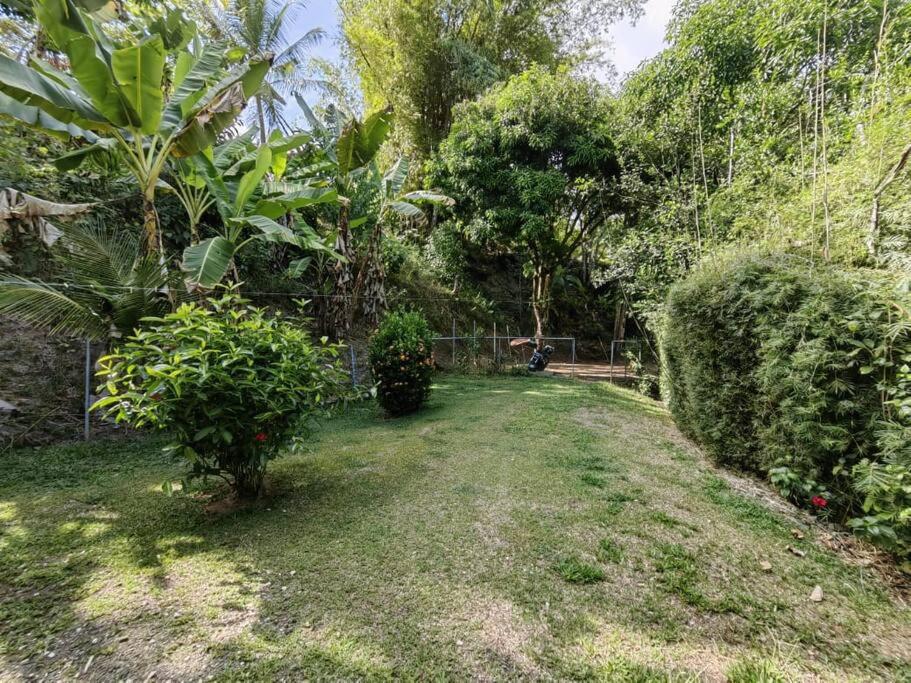 Beautiful Cozy House Nice garden-near to the beach