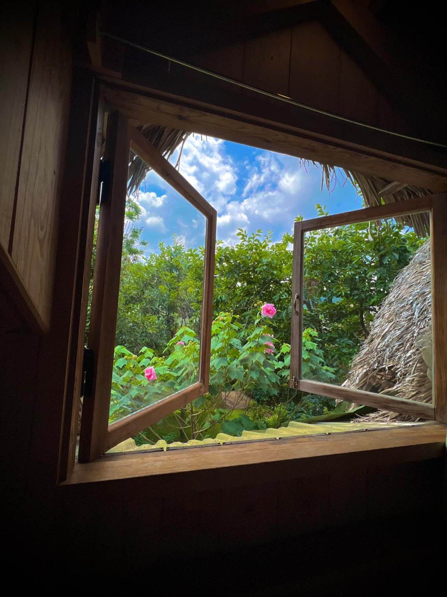 Vườn Nhà Củi Homestay view 2