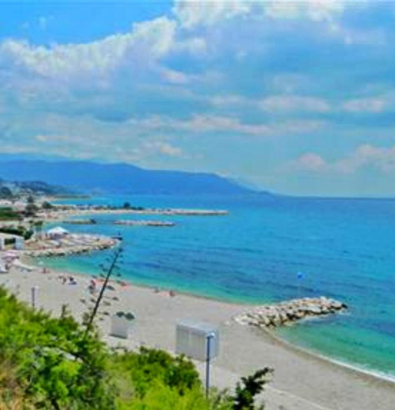 Apartman Golden Star view 5