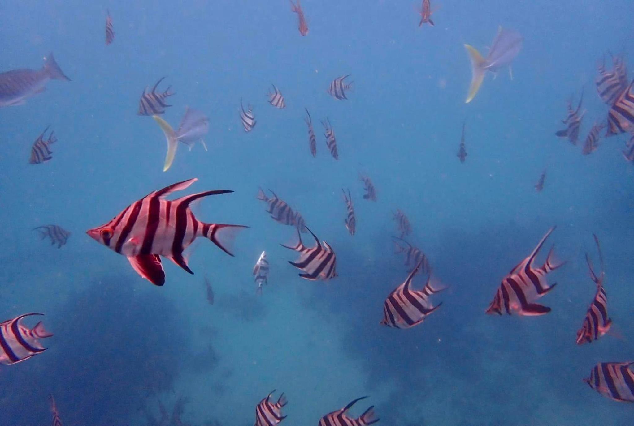 SeaDreams Beachfront Manly - Image 5
