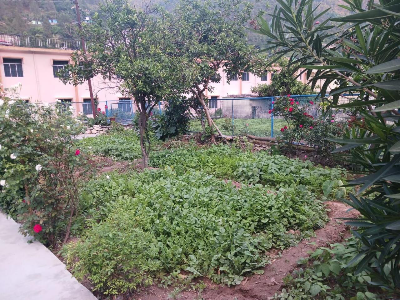 Photo 41