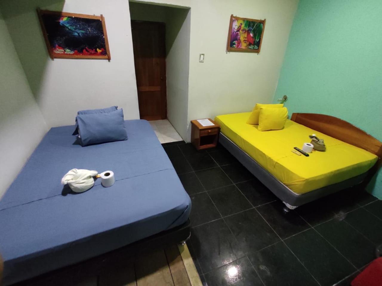 SELVA VIVA IQUITOS