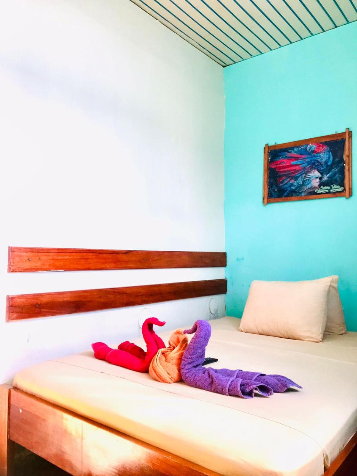 SELVA VIVA IQUITOS