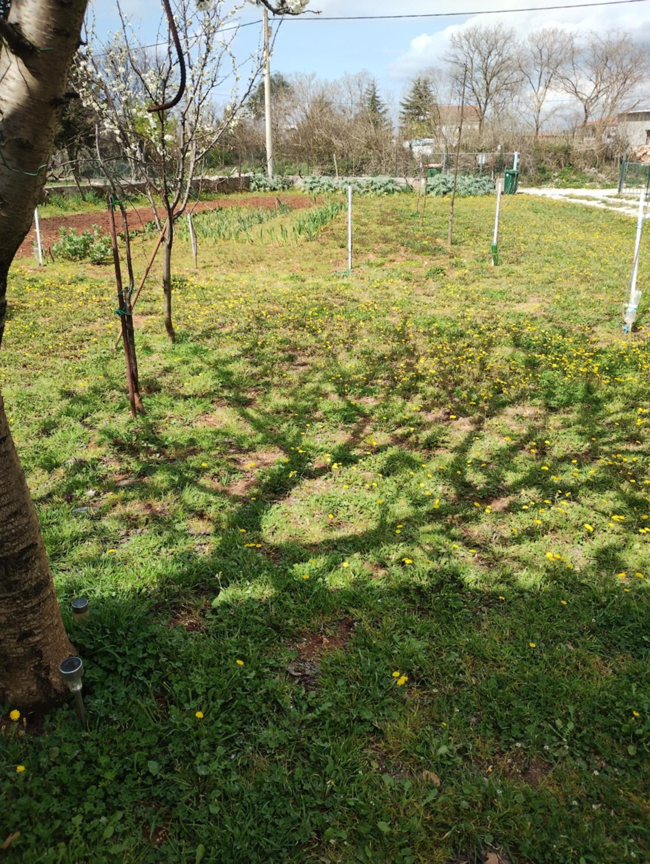 Apartman Enia photo 4