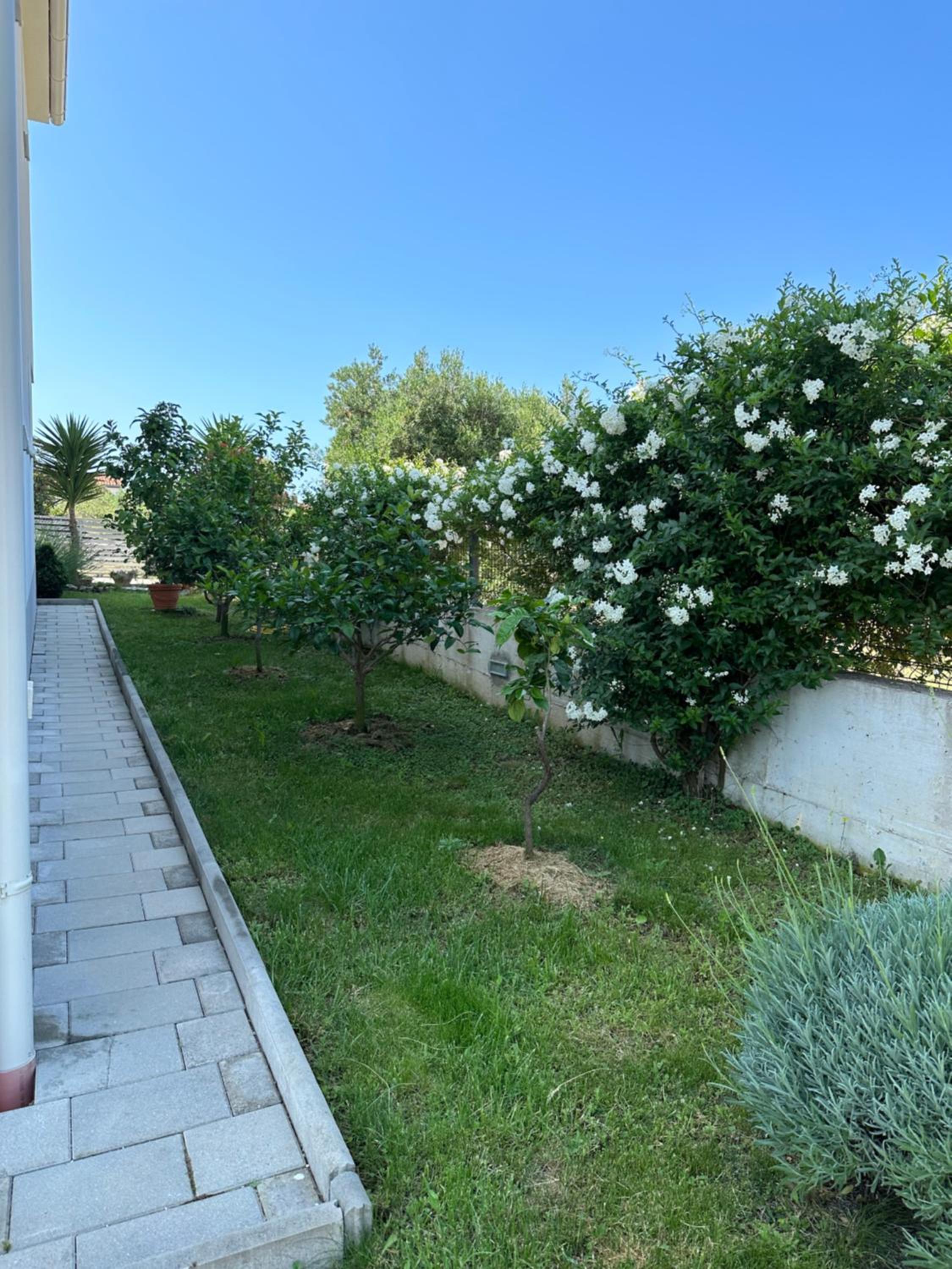 Holiday home MB view 5