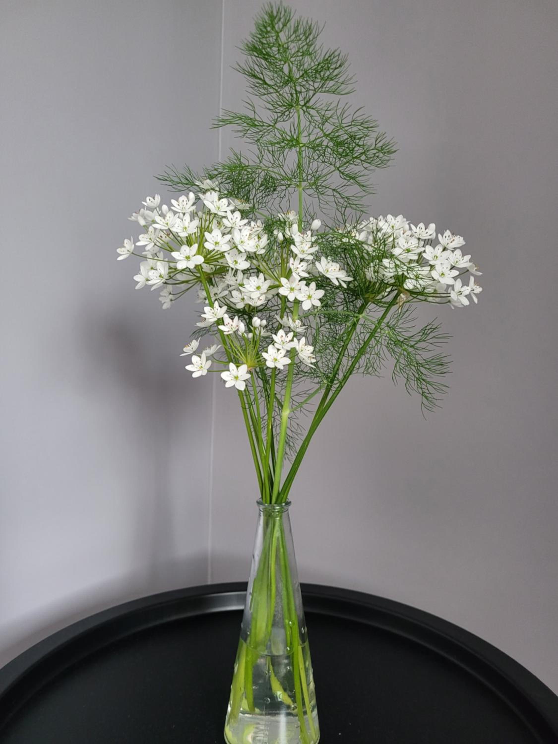 La Vallée