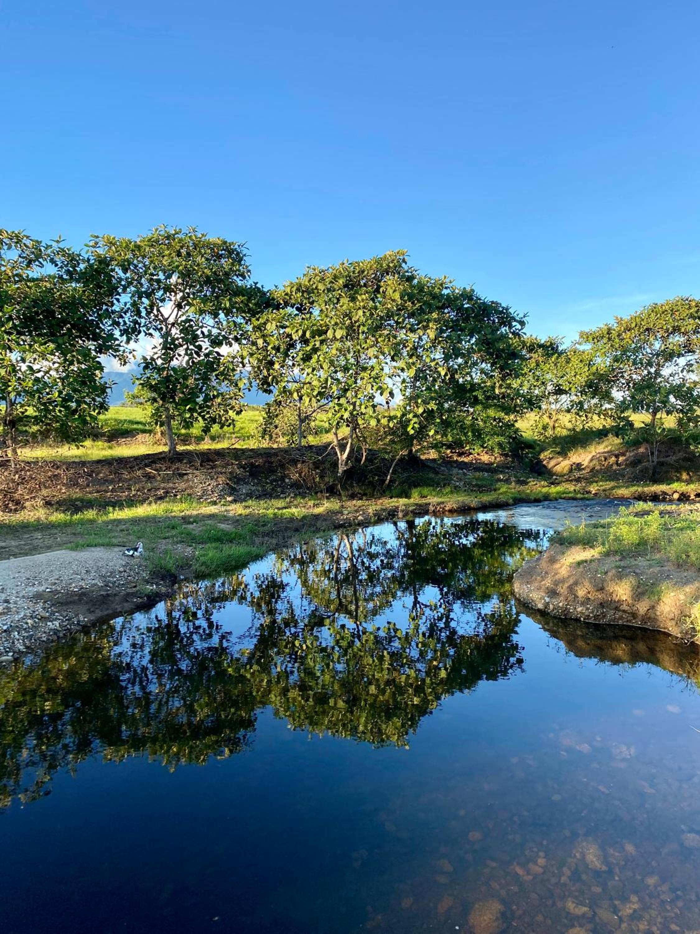 Hacienda Veracruz