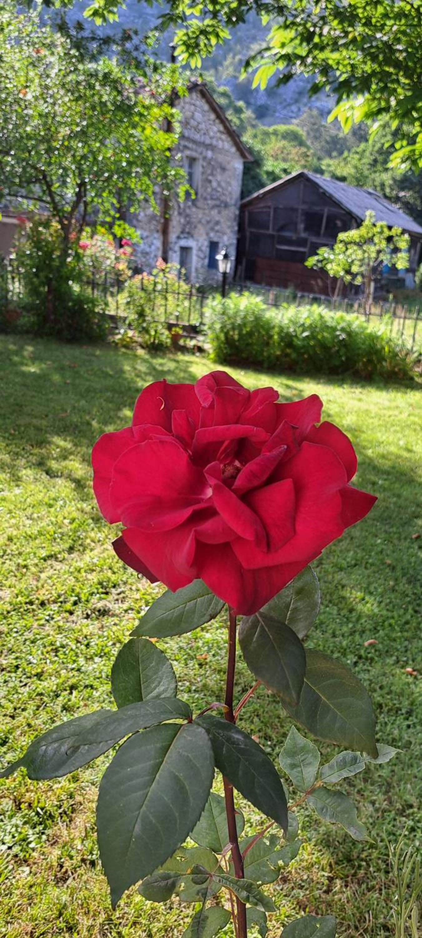 Photo 6