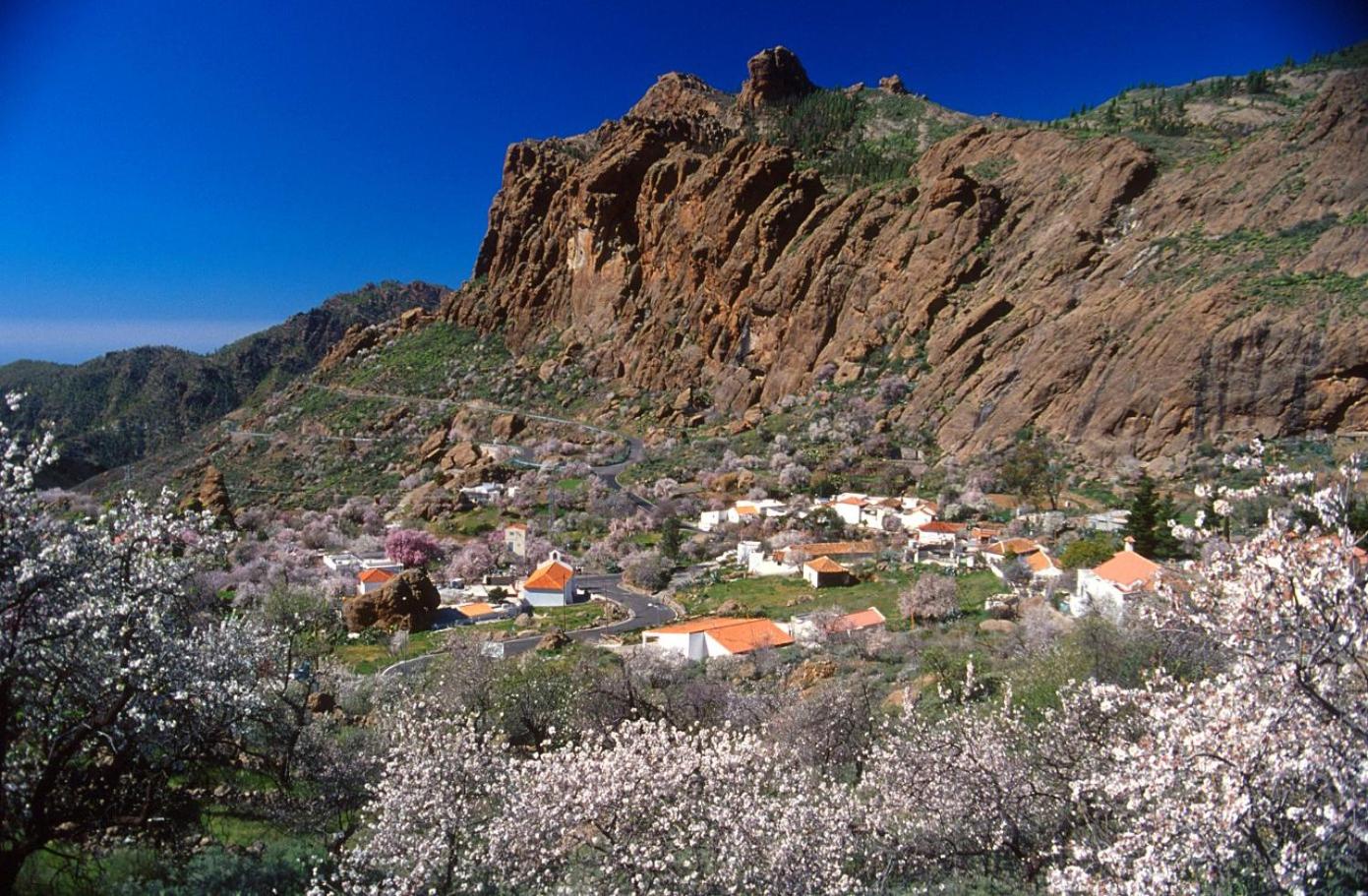 Casa Cueva El Pedregal Tejeda