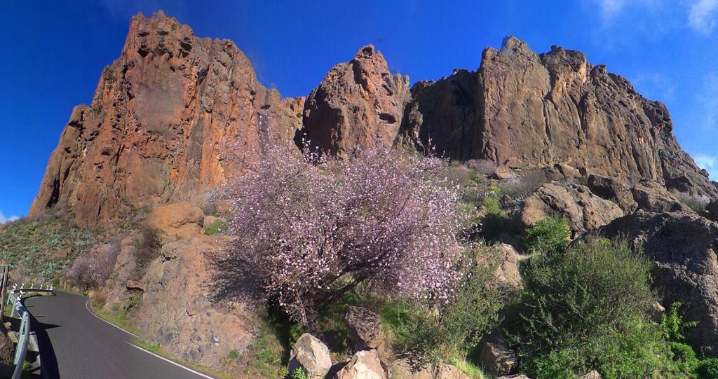Casa Cueva El Pedregal Tejeda