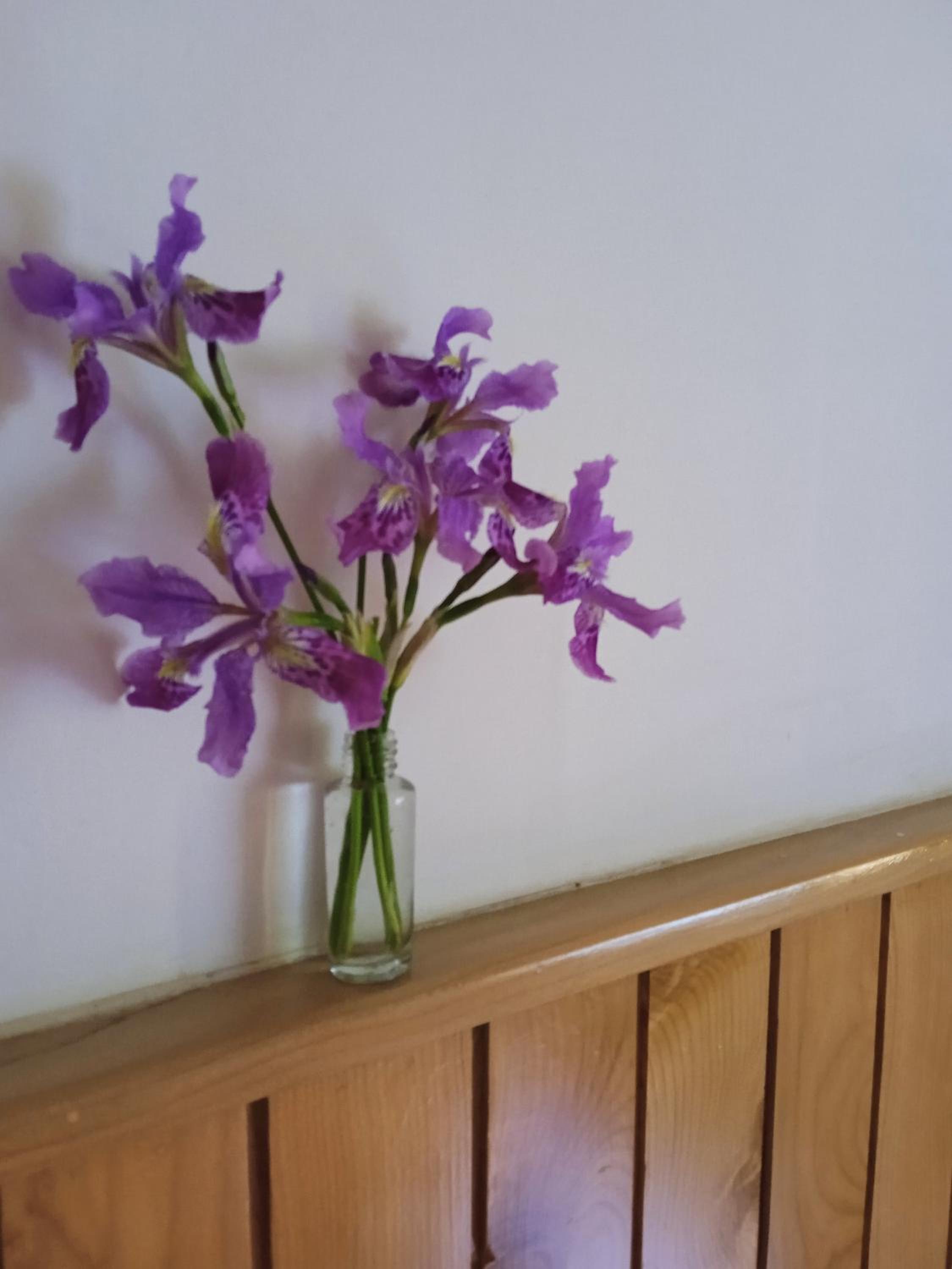 Photo 29