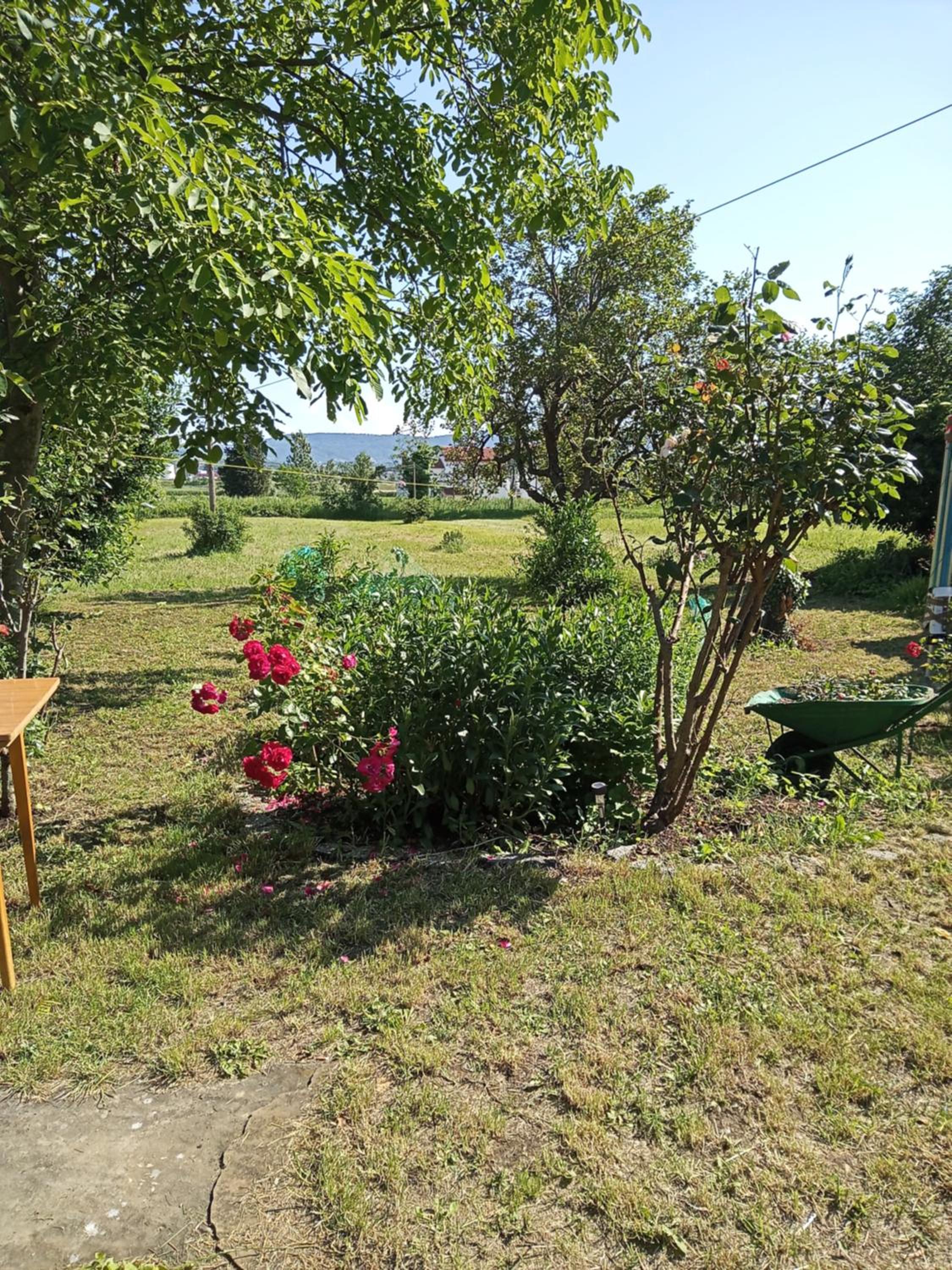 LUNA Quiet Retreat, Close to Koper, AirCon, Parking