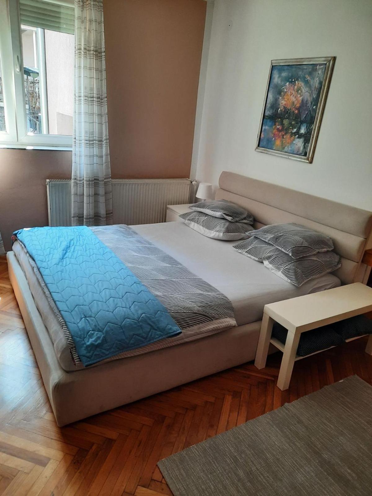 Apartmani Biljana Lazić view 4