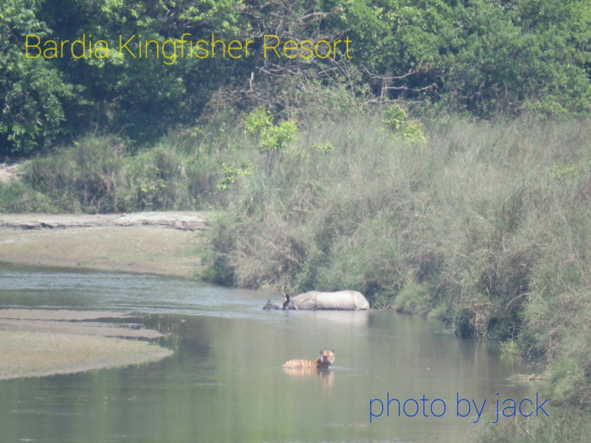 Photo 22