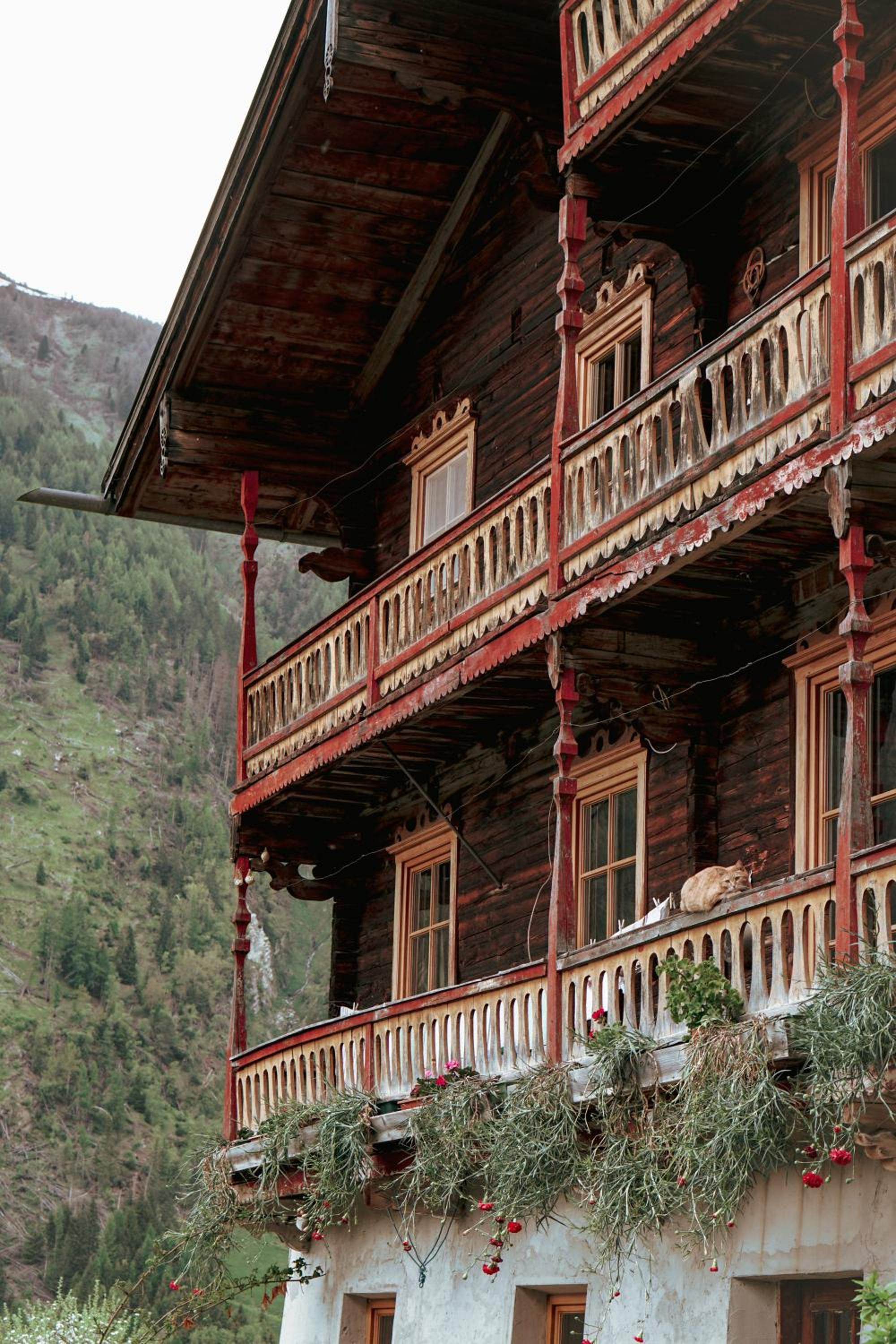 Collis Hill Chalets & Hotel