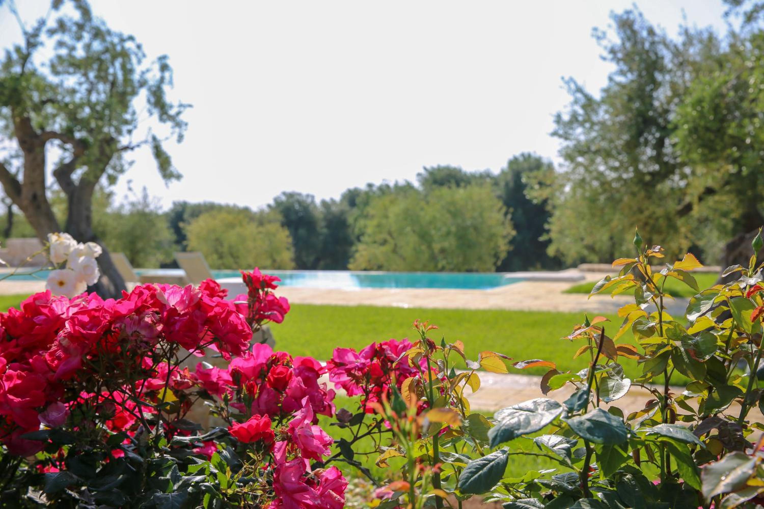 Masseria Parco della Grava