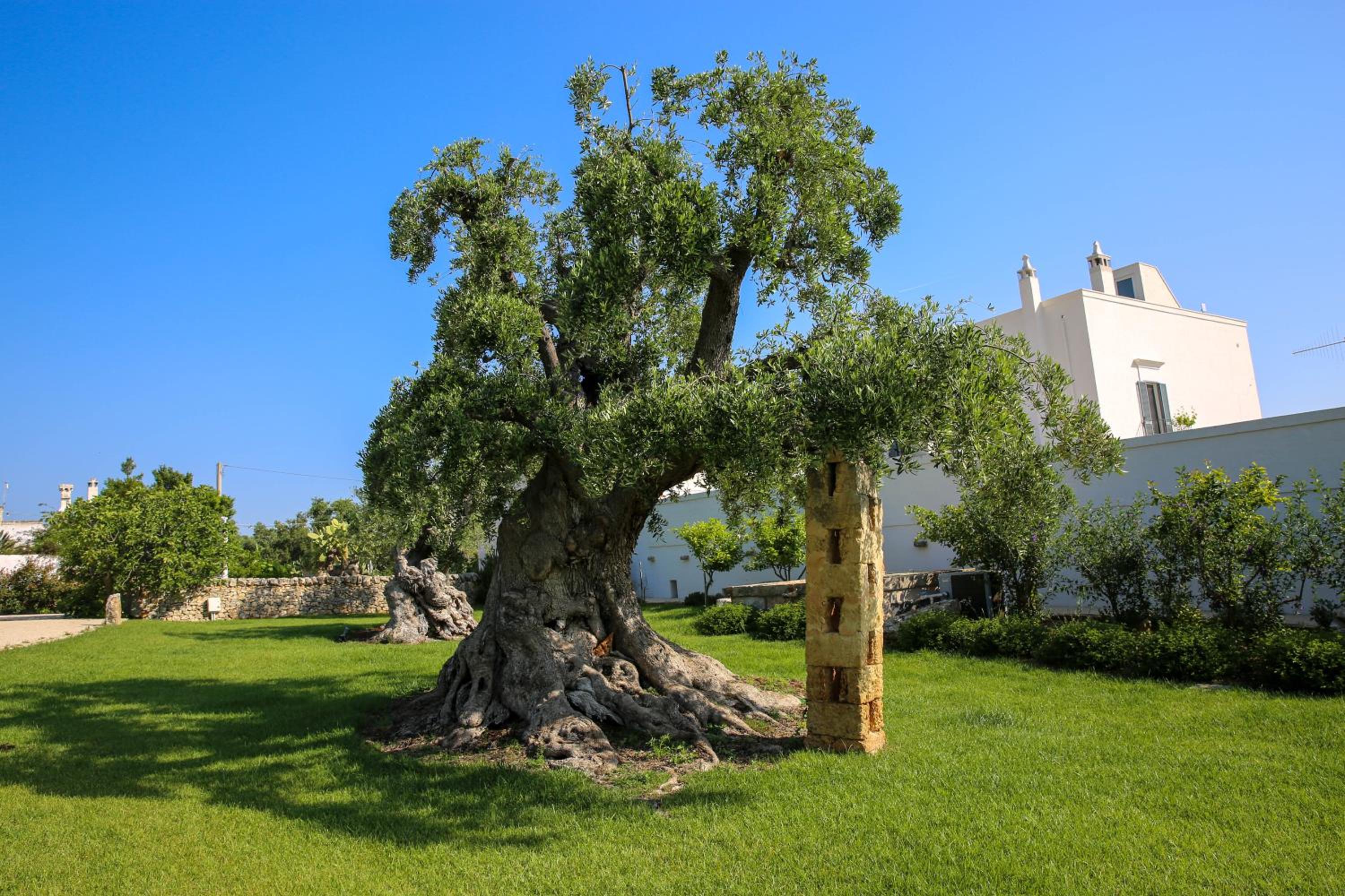 Masseria Parco della Grava