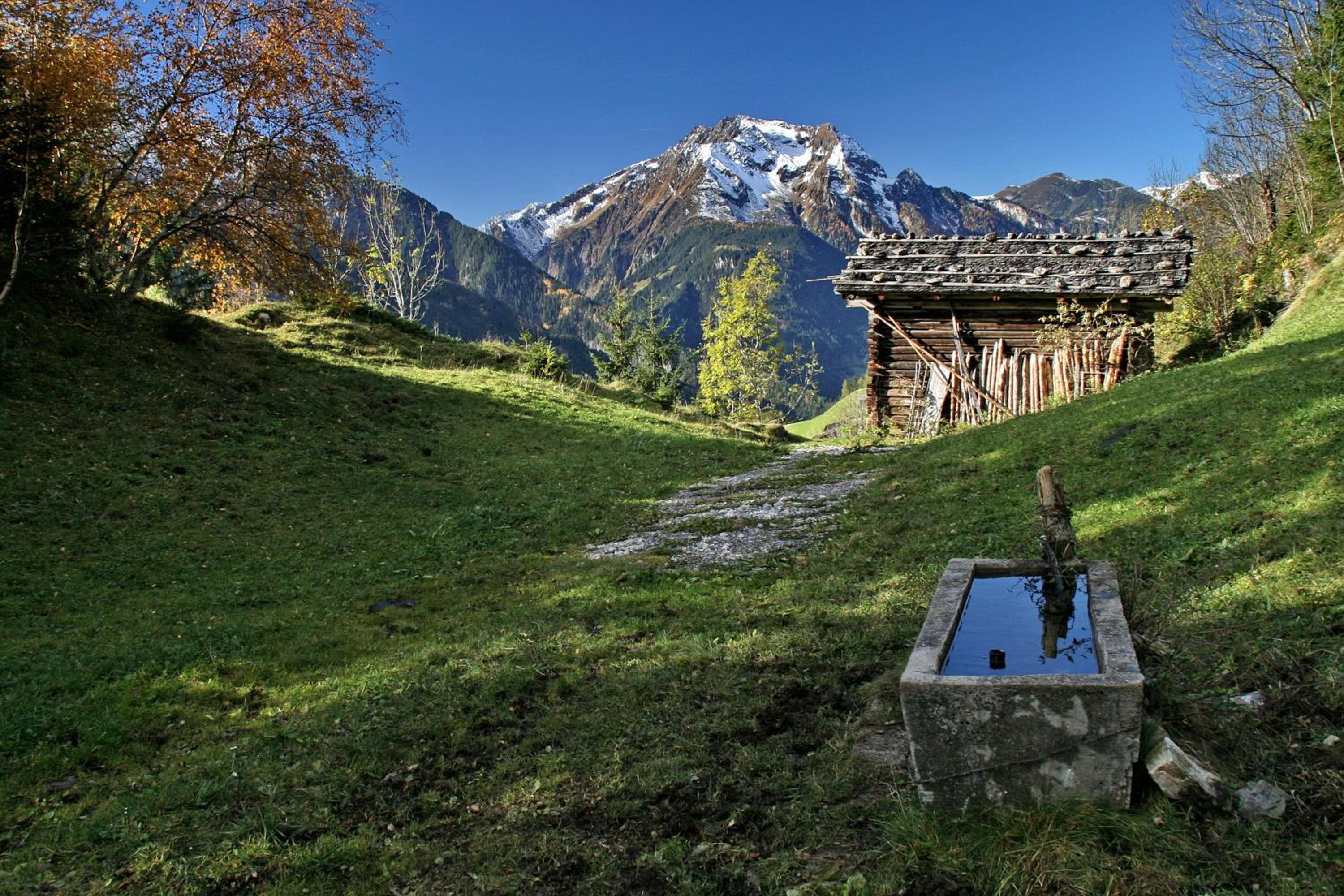 Alpen Appartements MOIGG