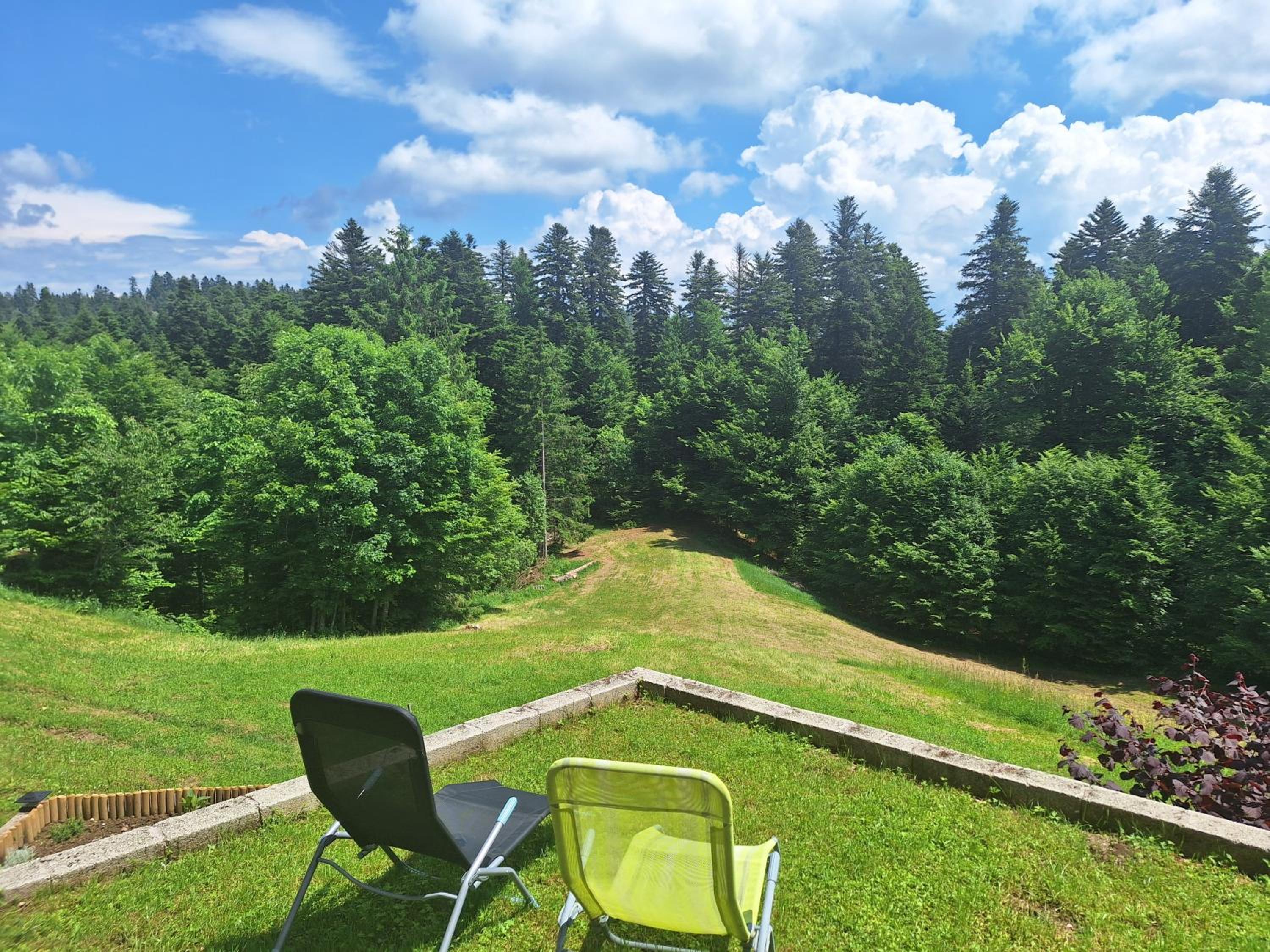 Apartment Tonica