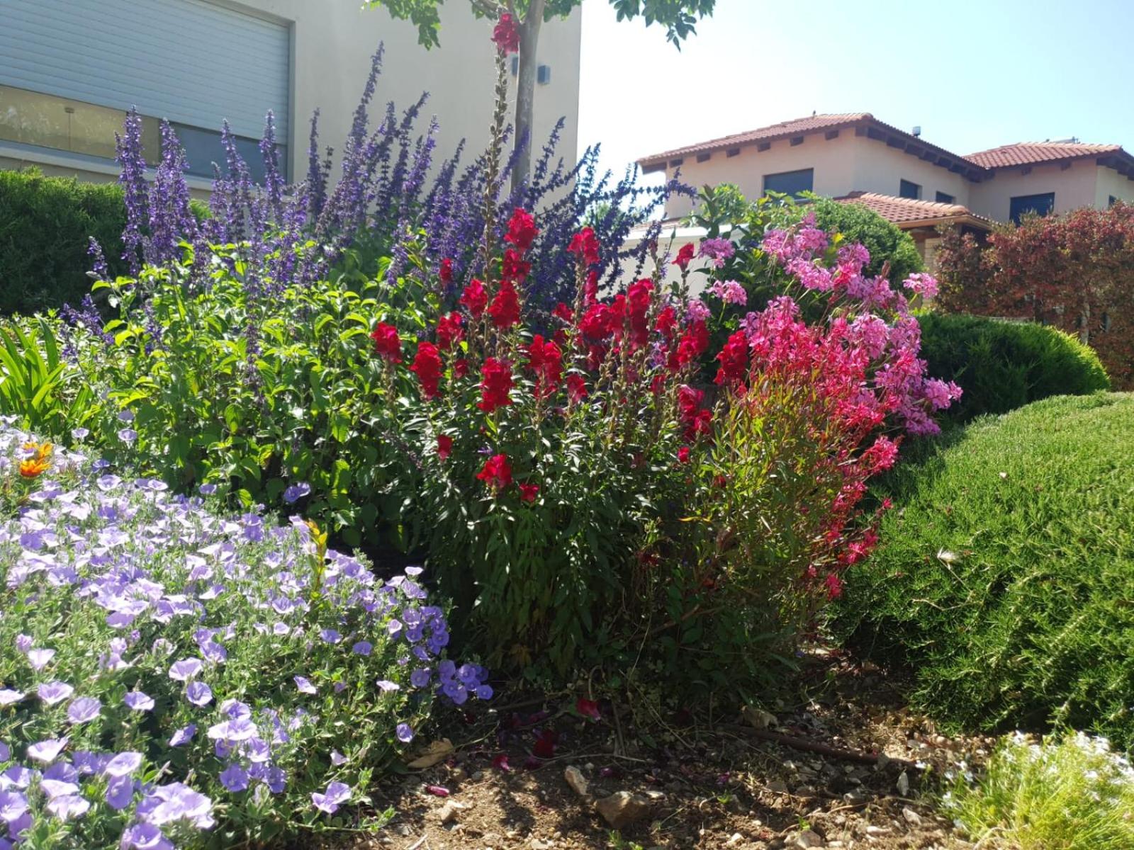 Photo 16