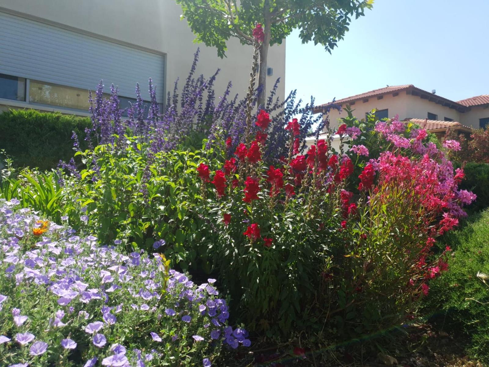 Photo 6