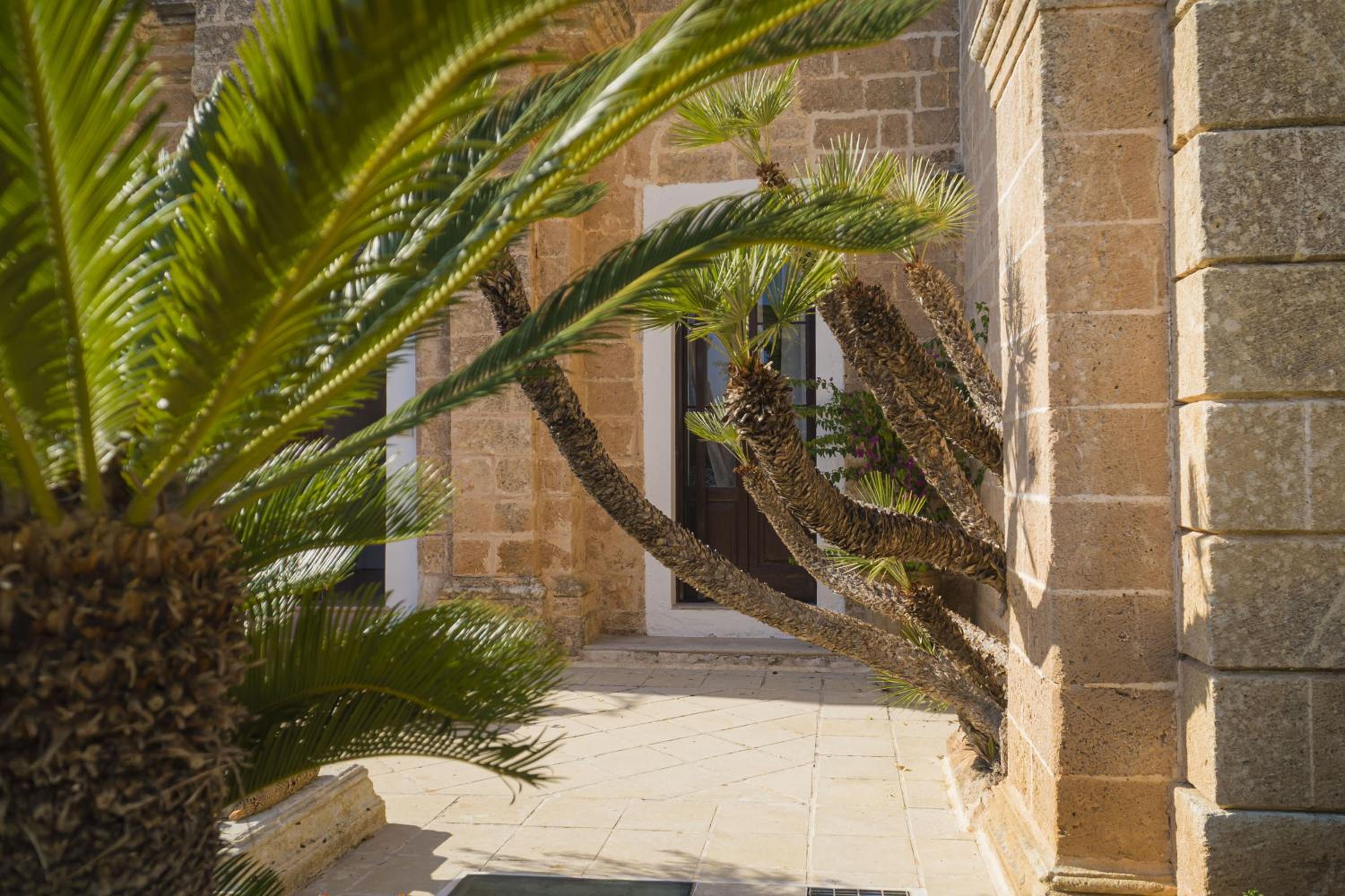Photo 98