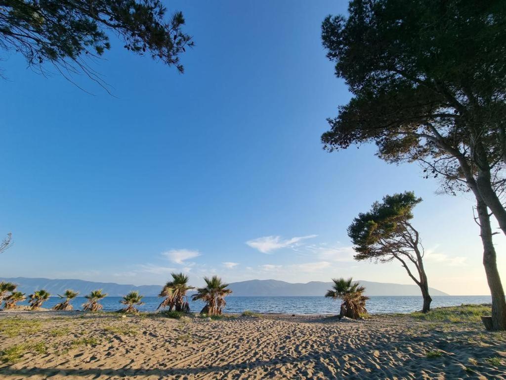 Dhoma plazhi Agimi