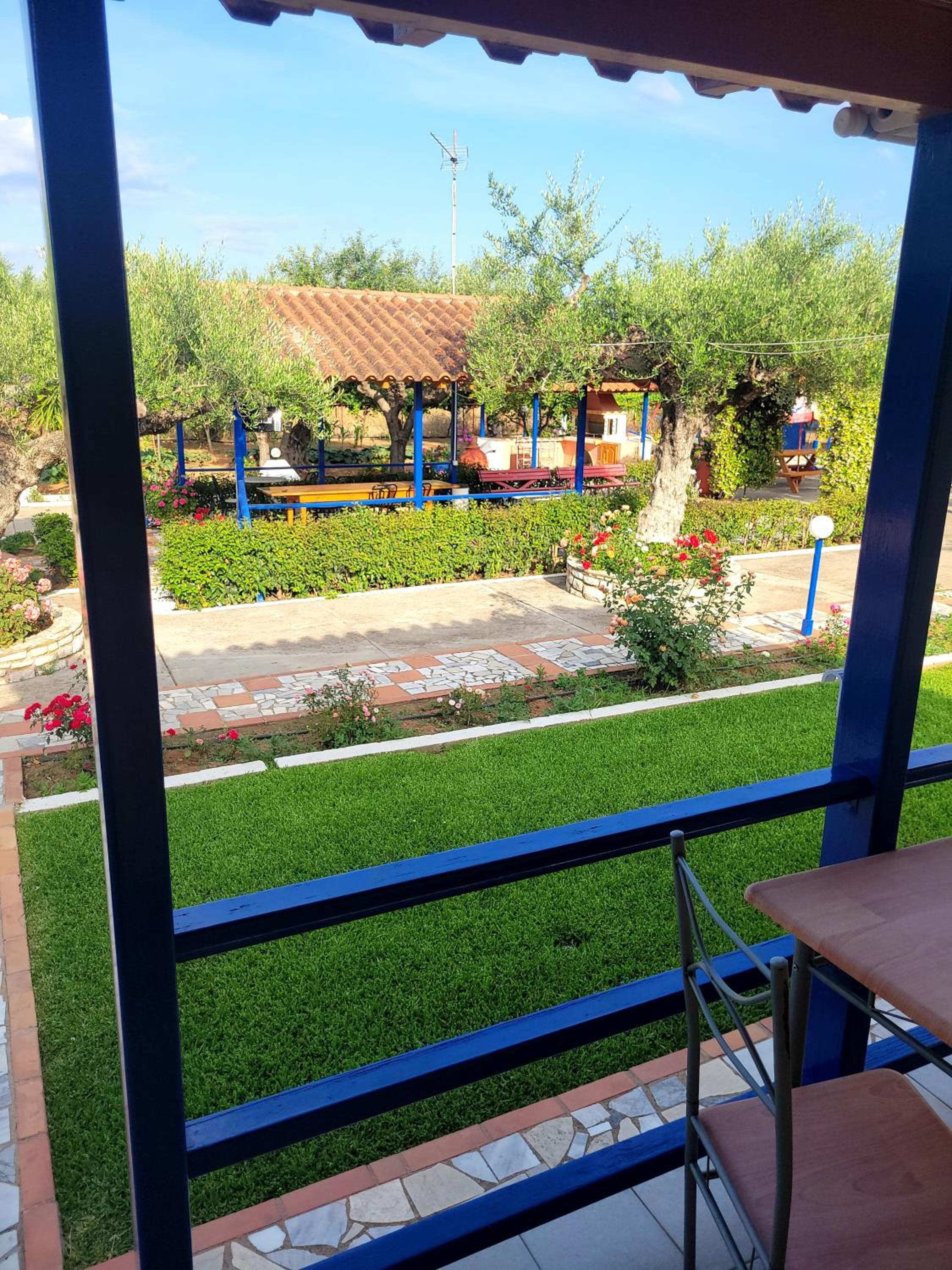 Photo 16