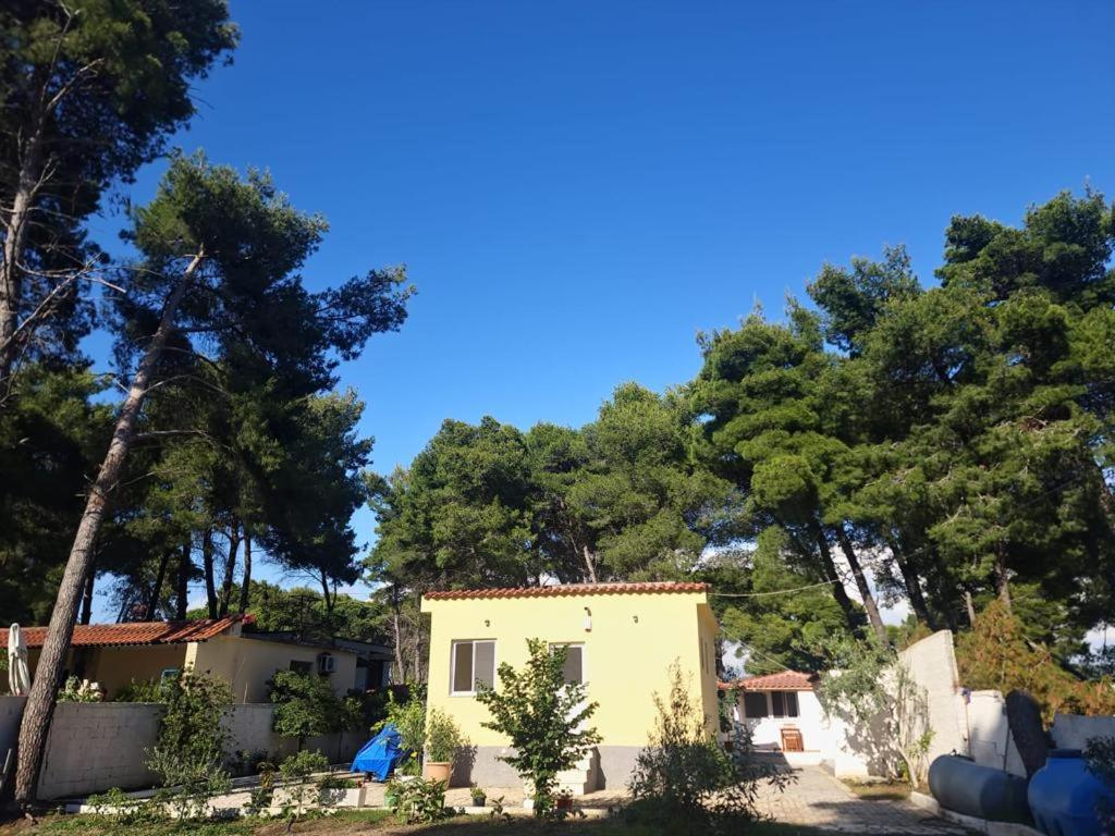 Dhoma plazhi Agimi