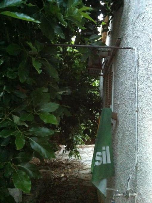 Photo 28