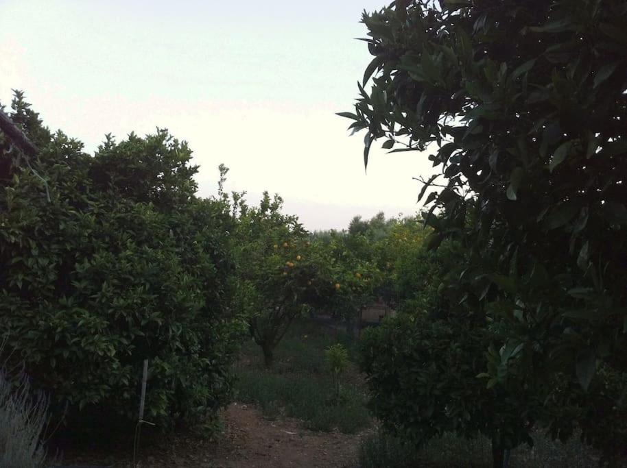 Photo 40