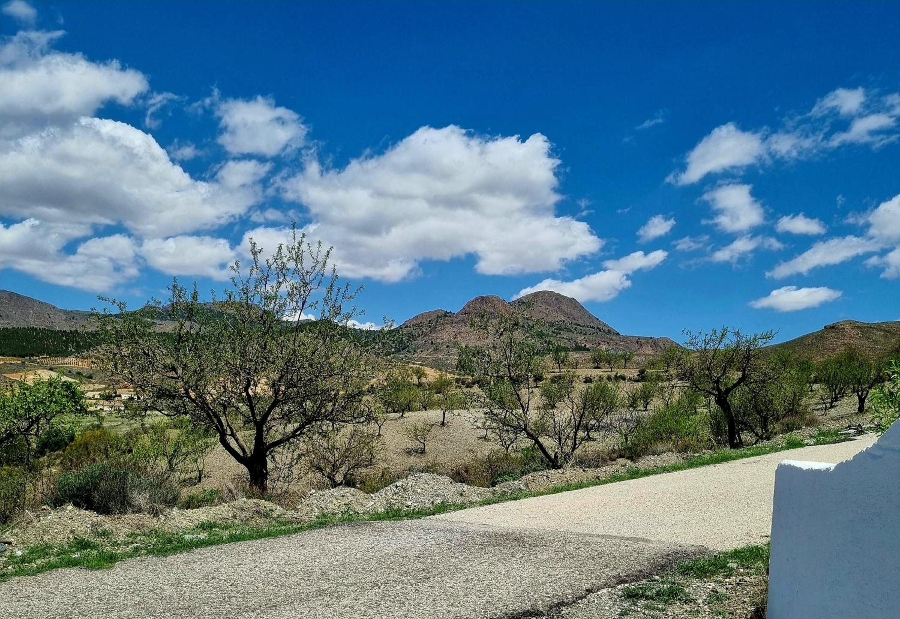 Cortijo naturista con vistas-clothing optional