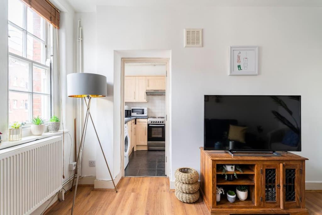 Cozy Apt in Central London
