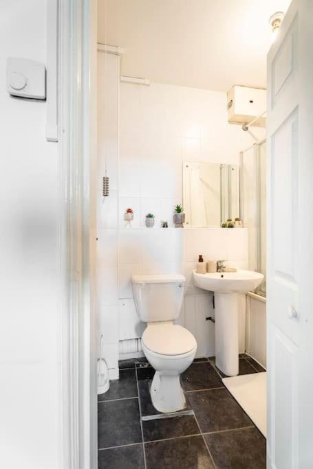 Cozy Apt in Central London
