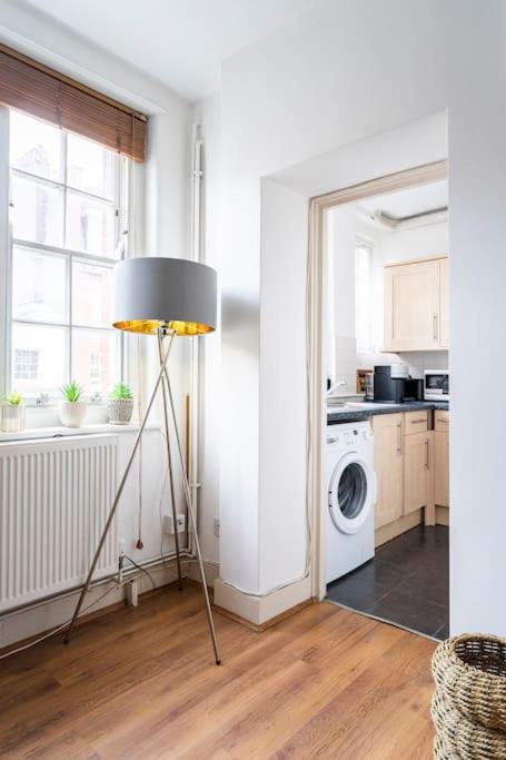 Cozy Apt in Central London