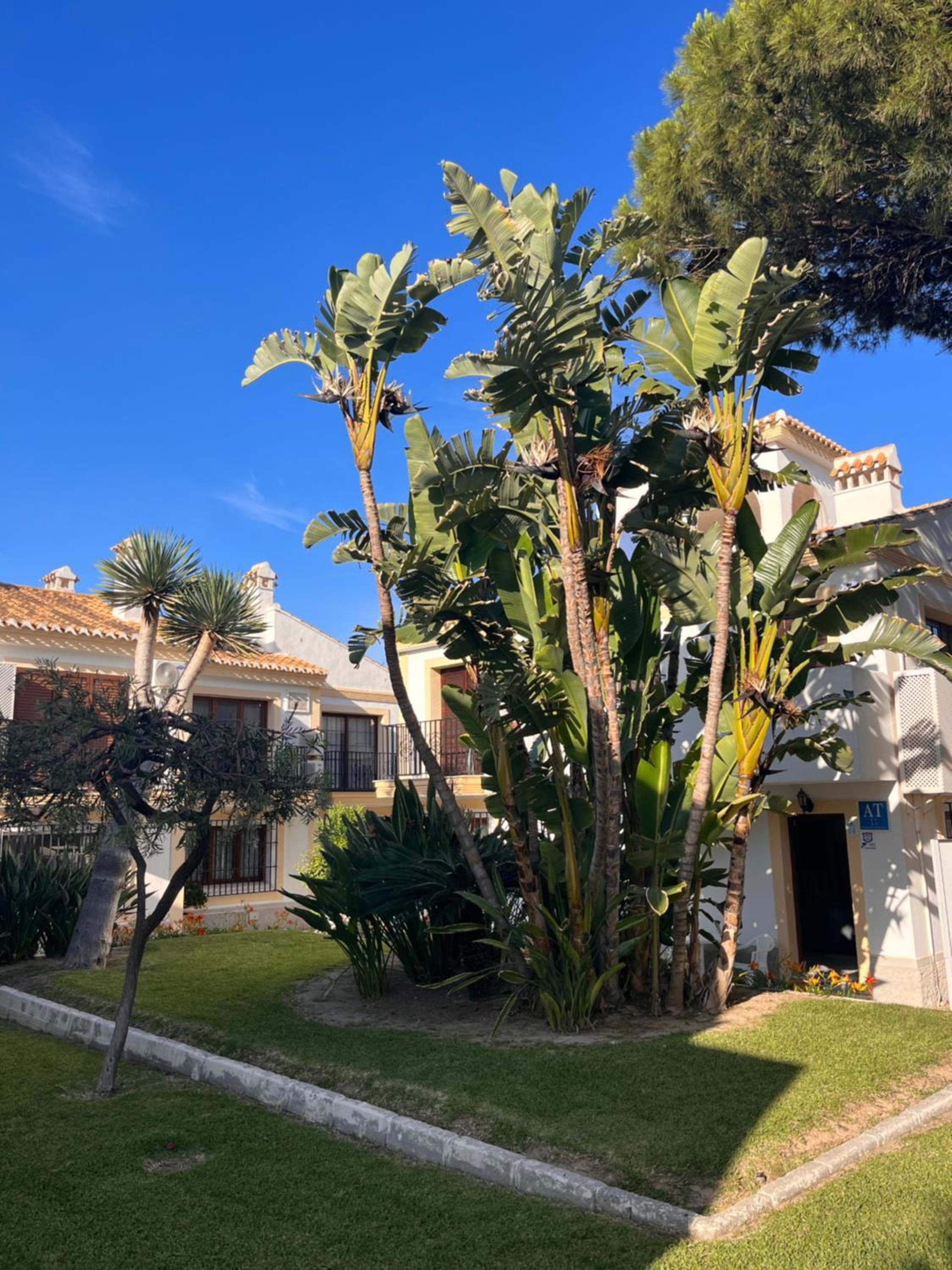 Dos Hermanas Vera Coast