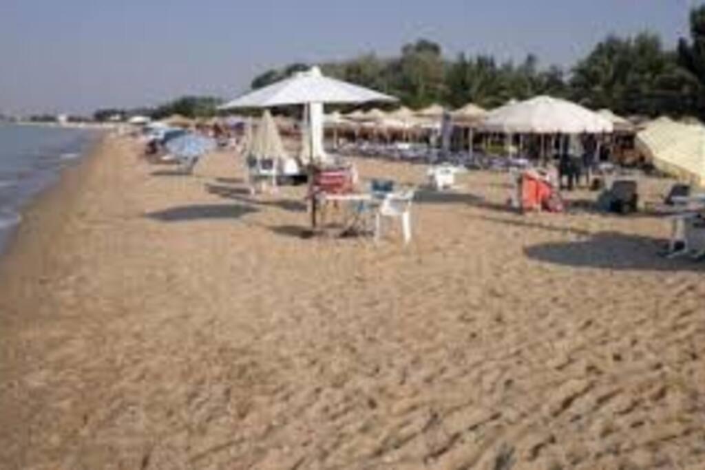 Konstantinos Apartmend Chalkidiki